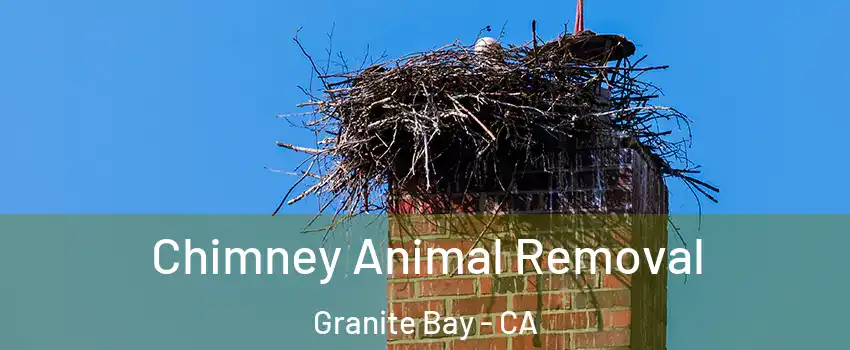 Chimney Animal Removal Granite Bay - CA