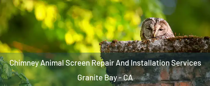 Chimney Animal Screen Repair And Installation Services Granite Bay - CA